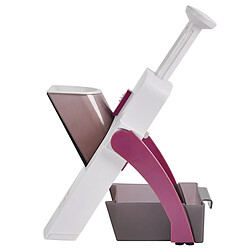 Paris Prix Mandoline avec Manche 4 en 1 33cm Bordeaux