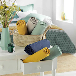 Avis Paris Prix Drap Plat en Coton Biolina 240x300cm Bleu Nuit