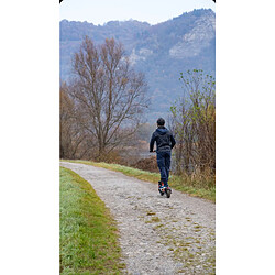 Acheter UrbanGlide Trottinette électrique EBOOST GO - 25 km/h, 40 km autonomie, batterie 48V 20Ah, double frein à disque, suspensions x4,