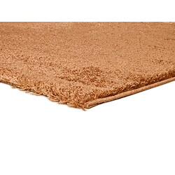 Avis ATTICGO Tapis shaggy ATLAS marron 190x290 cm