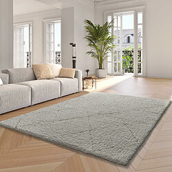 ATTICGO Tapis shaggy scandinave ATESA blanc/crème 60x120 cm