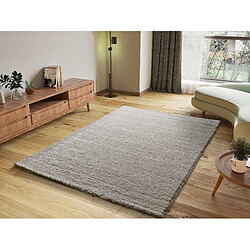 ATTICGO Tapis shaggy ATLAS gris 60x120 cm