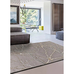 ATTICGO Tapis effet marbre CREATION gris 80x150 cm