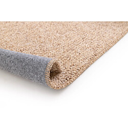 Avis ATTICGO Tapis lavable uni PETRA marron clair 120x170 cm