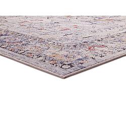 Avis ATTICGO Tapis vintage MABEL gris/multicolore 140x200 cm