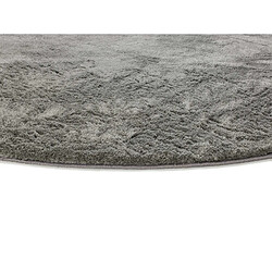 Avis ATTICGO Tapis rond shaggy ROMA anthracite 120x120 cm