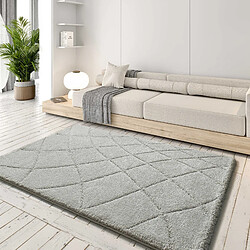 ATTICGO Tapis shaggy à relief MOLIER gris 60x120 cm