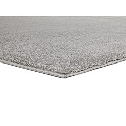 Avis ATTICGO Tapis uni MONTANA argent 200x290 cm