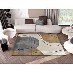 ATTICGO Tapis formes organiques NEW YORK beige/gris/marron 160x230 cm