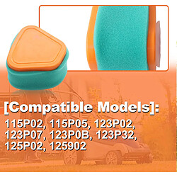 Avis 976 Améliorez les performances de votre tondeuse à gazon avec les filtres