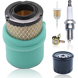 976 22 083 01-S1 Filtre à air pour Cub Cadet XT1 LT 42 Pièces Kohler Série 22 083 01-S1 Filtre à air pour Cub Cadet XT1 LT 42 Pièces Kohler Série 5400 KS530 KS540 KS590 KS595 Kit d’entretien, remplacer par 2208301S 2208301 Filtre à air avec bougie d’allumage de filtre à huile