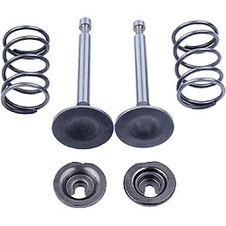 Acheter 976 Soupape d’échappement d’admission Ressort Clapet anti-retour Ensemble