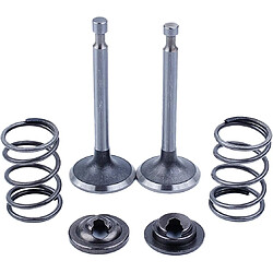 Avis 976 Soupape d’échappement d’admission Ressort Clapet anti-retour Ensemble