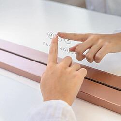 Avis Flamingueo Miroir Maquillage Lumineux 15 LED Métal 58x46x12cm Or Rose