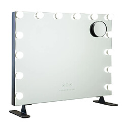 Flamingueo Miroir Maquillage Lumineux 14 LED Métal 58x51x15cm Noir