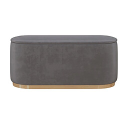 Dancan Pouf-coffre ovale - Gris clair