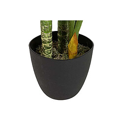 Alexandra House Living Plante Dieffenbachia Amoena avec pot 65X65X135Cm