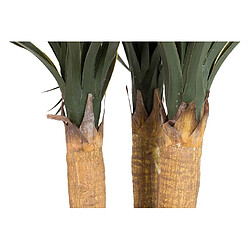 Acheter Alexandra House Living Nolina recurvata en pot 60 x 60 x 75 cm