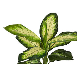 Alexandra House Living Dieffenbachia, plante à pois, 55 x 55 x 100 cm