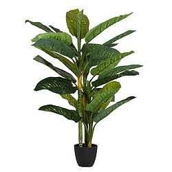 Alexandra House Living Plante Dieffenbachia Amoena avec pot 65X65X135Cm