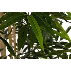 Avis Alexandra House Living Plante de bambou avec pot 80 x 80 x 150 cm