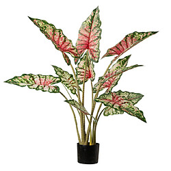 Alexandra House Living Plante de taro tabby avec pot 80 x 70 x 100 cm