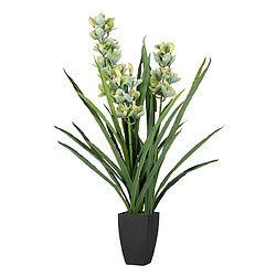 Alexandra House Living Plante d'orchidée Cymbidium 70 x 70 x 110 cm