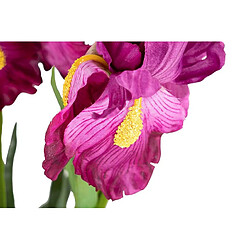 Acheter Alexandra House Living Plante d'orchidée Cattleya 60 x 60 x 70 cm