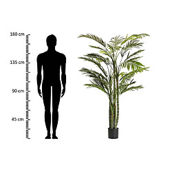 Alexandra House Living Palmier Areca 110 x 110 x 190 cm