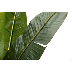 Acheter Alexandra House Living Arbre du voyageur 80 x 80 x 140 cm