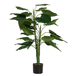 Alexandra House Living Plante de taro en pot 65 x 65 x 120 cm