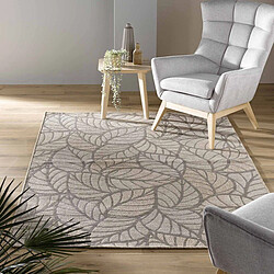 Acheter Paris prix Vitalis - 160x230 cm - Beige