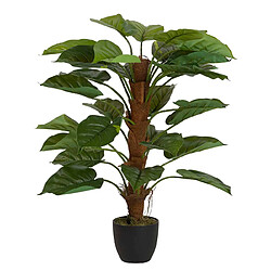 Alexandra House Living Plante Rhadhidophora Aureum avec pot 50X50X73 Cm