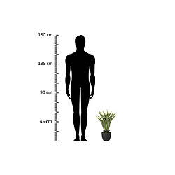 Alexandra House Living Agave Atenuata (plante) 50 x 50 x 60 cm