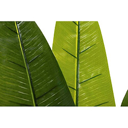 Avis Alexandra House Living Arbre du voyageur 80 x 80 x 140 cm