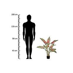 Alexandra House Living Plante de taro tabby avec pot 80 x 70 x 100 cm