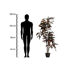 Alexandra House Living Plante Ordyline Fruticosa 80X80X170 Cm