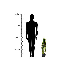 Alexandra House Living Plante Sansewieria Trifasciata 25X25X85 Cm