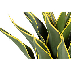Avis Alexandra House Living Agave Atenuata (plante) 50 x 50 x 60 cm