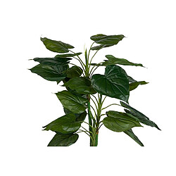 Alexandra House Living Plante de taro en pot 65 x 65 x 120 cm