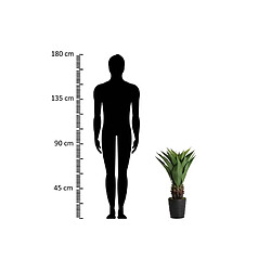 Alexandra House Living Agave attenuata, plante de 75 x 75 x 82 cm