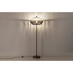 Avis Alexandra house living Lampadaire design - Multicolore