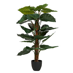 Alexandra House Living Plante de taro en pot 65 x 65 x 120 cm