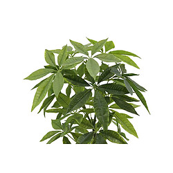 Alexandra House Living Plante d'argent avec pot 45 x 45 x 85 cm