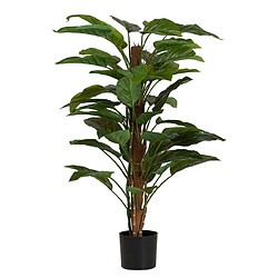 Alexandra House Living Plante Aureum avec pot 60 x 60 x 130 cm
