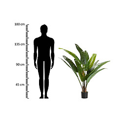 Alexandra House Living Arbre du voyageur 80 x 80 x 140 cm