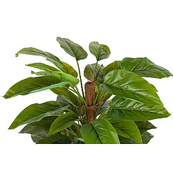 Alexandra House Living Plante Aureum avec pot 60 x 60 x 130 cm