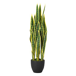 Alexandra House Living Plante Sansewieria Trifasciata 25X25X85 Cm