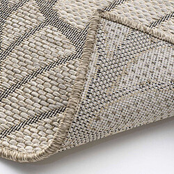 Avis Paris prix Vitalis - 160x230 cm - Beige