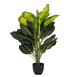 Alexandra House Living Dieffenbachia en pot 65 x 65 x 113 cm